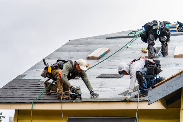 Professional Roofing technician working in Brewster, MA
